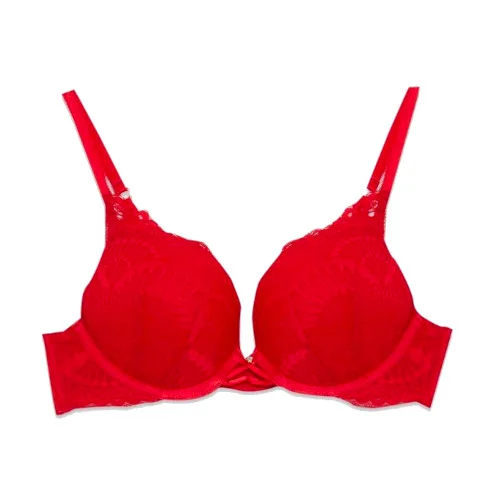 Women's Bras