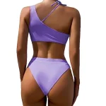 Cutout One Shoulder Brazilian Bikini Piece Purple