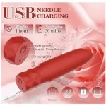 All Silicone Waterproof Rechargeable Bullet Vibrator with Quiet Powerful Vibration Modes Red