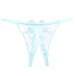 Crotchless Embroidered Transparent Lace G String Blue