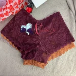 Floral Transparent Lace Boyshorts Panties Low Waisted