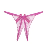 Crotchless Embroidered Transparent Lace G String Pink